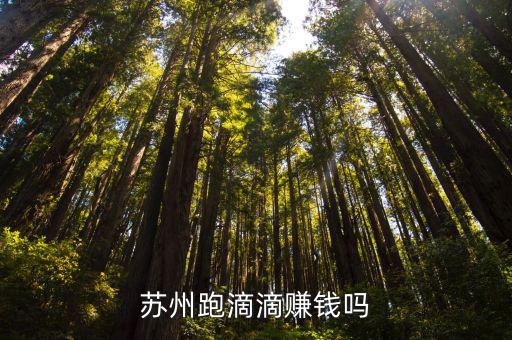 蘇州跑滴滴賺錢嗎