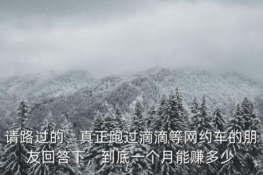 在濟南跑滴滴車一個月能掙多少,用自己的車晚上跑滴滴