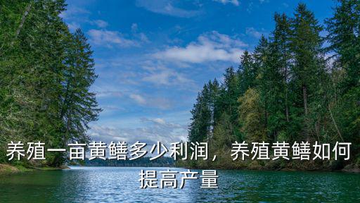 養(yǎng)殖一畝黃鱔多少利潤(rùn)，養(yǎng)殖黃鱔如何提高產(chǎn)量