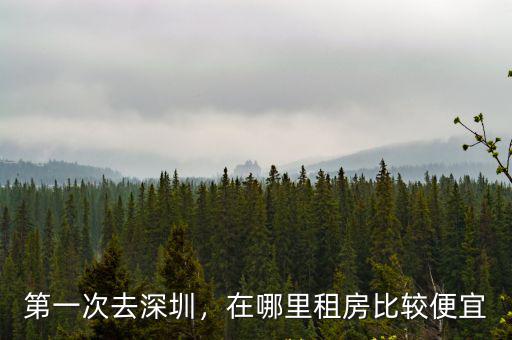 深圳觀瀾大和村租房在哪里,第一次去深圳
