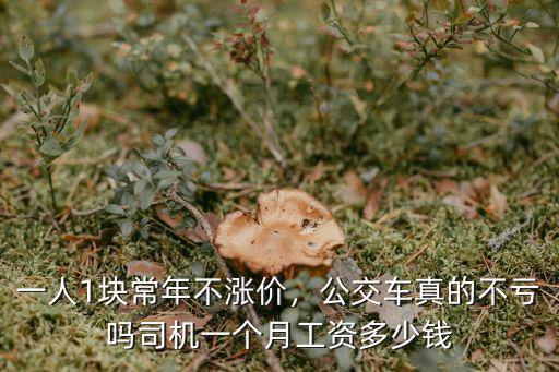 一人1塊常年不漲價，公交車真的不虧嗎司機一個月工資多少錢