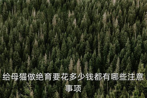 給母貓做絕育要花多少錢都有哪些注意事項