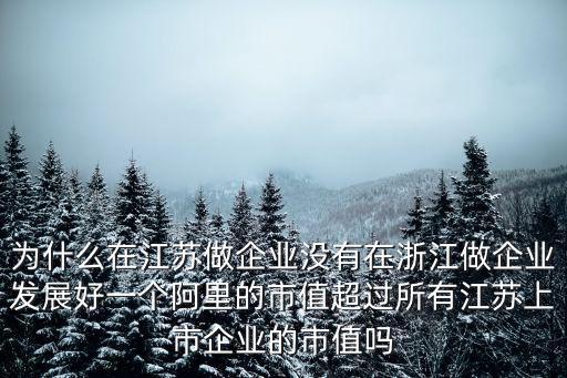 為什么在江蘇做企業沒有在浙江做企業發展好一個阿里的市值超過所有江蘇上市企業的市值嗎