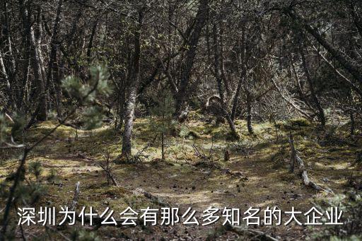 深圳為什么會有那么多知名的大企業