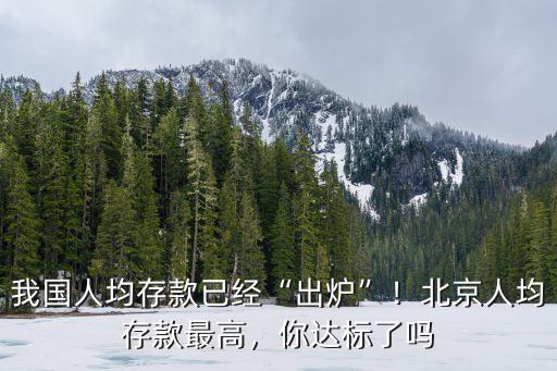 濱州人均存款多少,北京人均存款最高