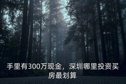 深圳92哪里便宜,深圳哪里投資買(mǎi)房最劃算