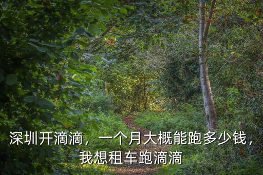 深圳開滴滴，一個月大概能跑多少錢，我想租車跑滴滴
