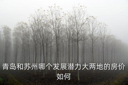 青島和蘇州哪個(gè)發(fā)展?jié)摿Υ髢傻氐姆績(jī)r(jià)如何