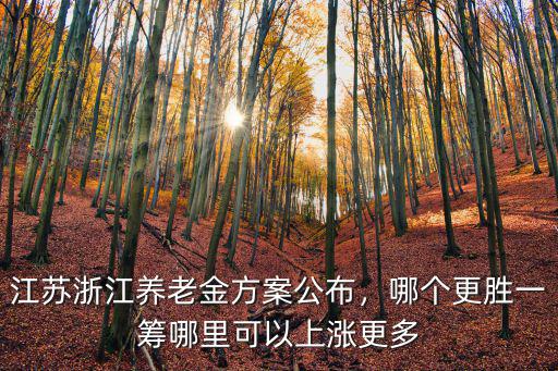 江蘇浙江養老金方案公布，哪個更勝一籌哪里可以上漲更多