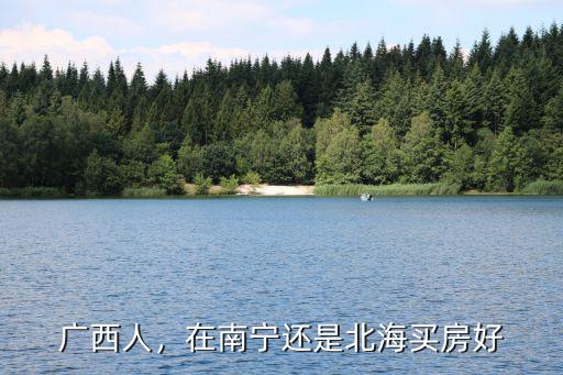 在廣東的廣西人在哪里買房,在廣州打拼的南寧人