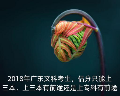 廣東考生多少分可以上三本,2018年廣東文科考生