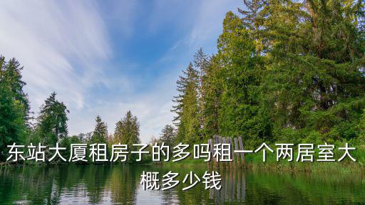 徐州東站的房子出租多少錢,東站大廈租房子的多嗎