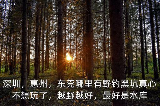 深圳，惠州，東莞哪里有野釣黑坑真心不想玩了，越野越好，最好是水庫