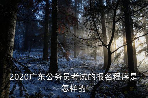 2020廣東公務員考試的報名程序是怎樣的