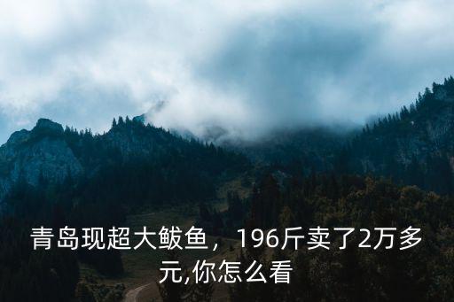 青島現(xiàn)超大鲅魚，196斤賣了2萬多元,你怎么看
