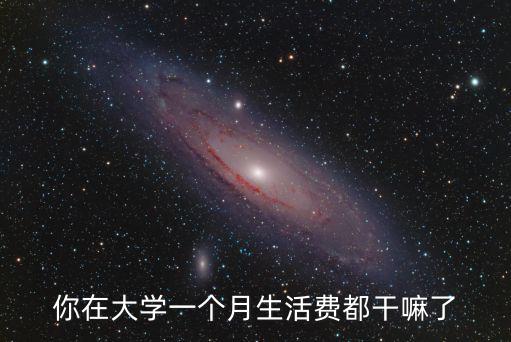 你在大學一個月生活費都干嘛了