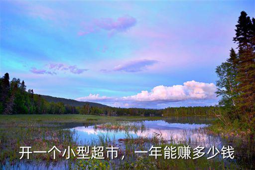 開一個小型超市，一年能賺多少錢