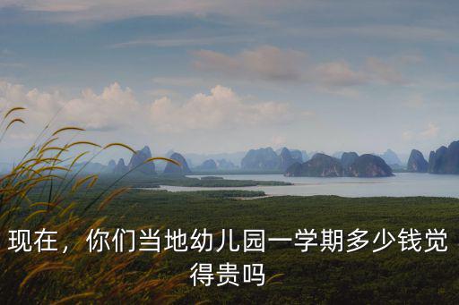 常州公立幼兒園一學(xué)期多少錢,你們當(dāng)?shù)赜變簣@一學(xué)期多少錢