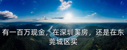 有一百萬現金，在深圳買房，還是在東莞城區買