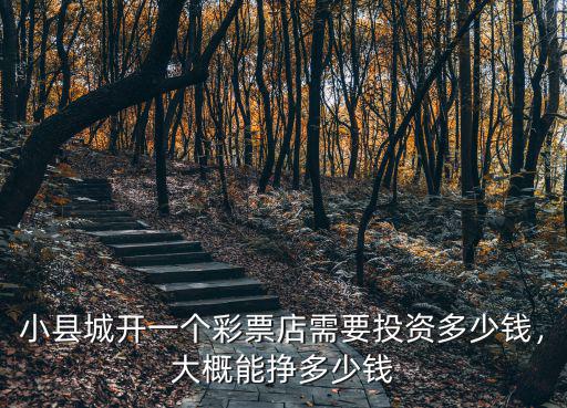 小縣城開一個彩票店需要投資多少錢，大概能掙多少錢