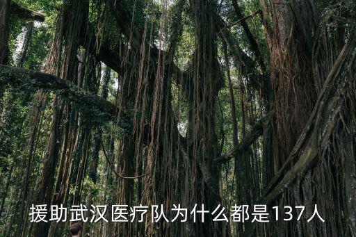 援助武漢醫(yī)療隊(duì)為什么都是137人
