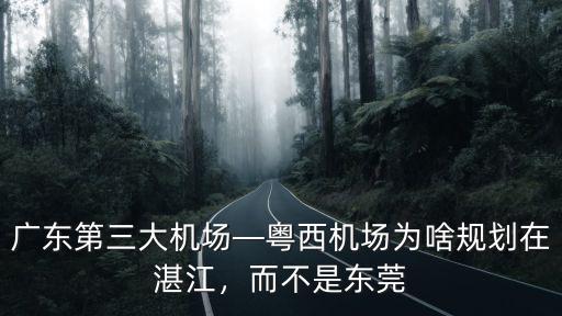 廣東機場集團湛江機場公司怎么樣,廣東第三大機場