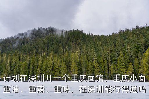 計劃在深圳開一個重慶面館，重慶小面重油、重辣、重味，在深圳能行得通嗎