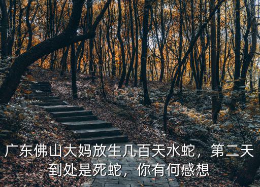 佛山哪里有放生的地方,佛山順德有什么好玩的地方