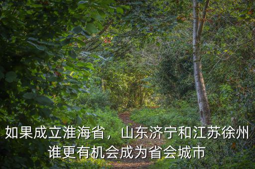 山東濟寧的總面積有多少,山東濟寧屬于山東的第二城嗎