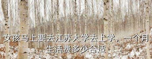鎮江上大學一個月生活費多少,一個月生活費多少合適