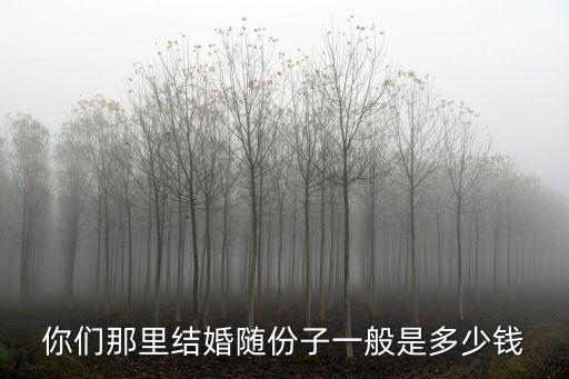 你們那里結婚隨份子一般是多少錢