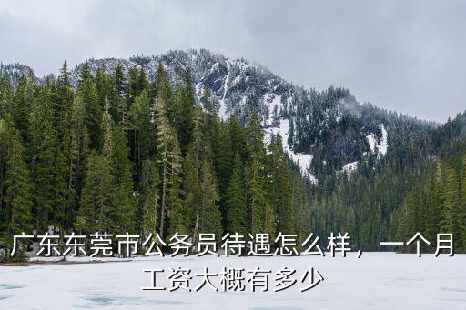 廣東共青團的工資是多少錢一個月,一個月工資大概有多少