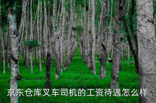 京東倉庫叉車司機的工資待遇怎么樣