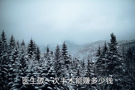 醫(yī)生做一次手術能賺多少錢