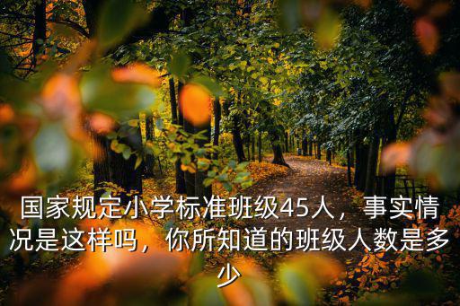 青島小學一個班規定多少人,國家規定小學標準班級45人