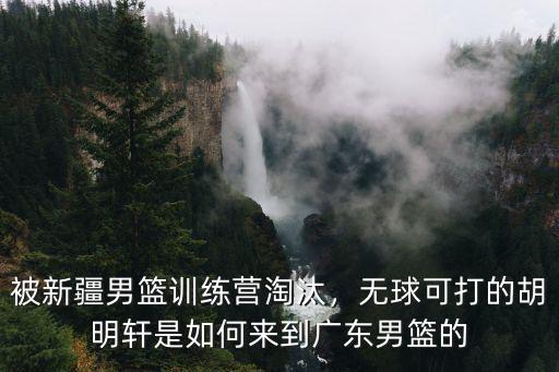 廣東男籃是怎么進的球,廣東宏遠(yuǎn)男籃是怎么了