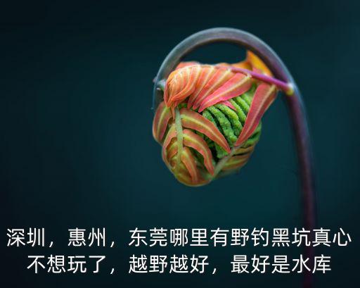 深圳，惠州，東莞哪里有野釣黑坑真心不想玩了，越野越好，最好是水庫