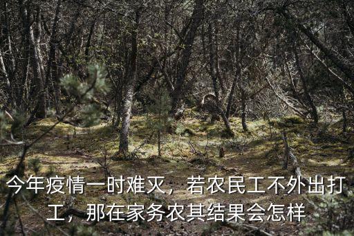 今年疫情一時難滅，若農民工不外出打工，那在家務農其結果會怎樣