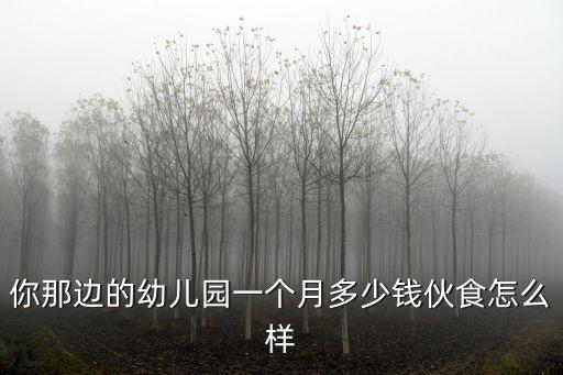 你那邊的幼兒園一個月多少錢伙食怎么樣