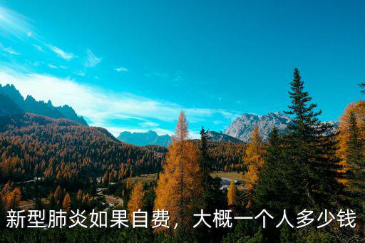 新型肺炎如果自費，大概一個人多少錢