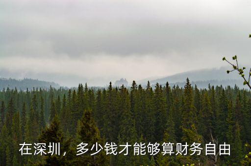 深圳個人有多少錢實現(xiàn)財務自由,每年凈收入多少才算財務自由