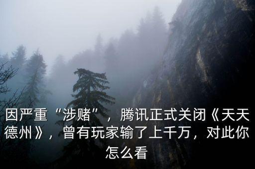 因嚴重“涉賭”，騰訊正式關閉《天天德州》，曾有玩家輸了上千萬，對此你怎么看