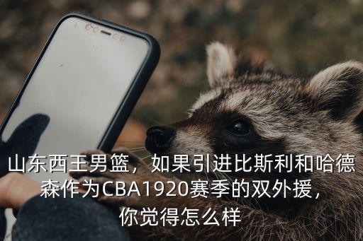 山東西王男籃，如果引進(jìn)比斯利和哈德森作為CBA1920賽季的雙外援，你覺得怎么樣