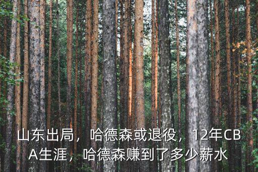 哈德森在山東年薪多少2019,哈德森或退役