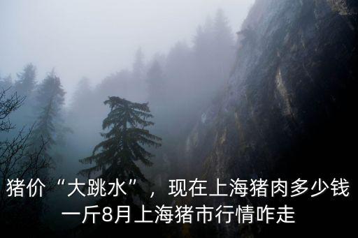 豬價“大跳水”，現在上海豬肉多少錢一斤8月上海豬市行情咋走