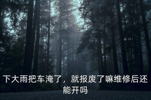 聊城淹了多少車,聊城大貨車超載