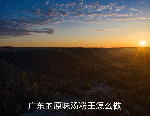 廣東的原味湯粉王怎么做