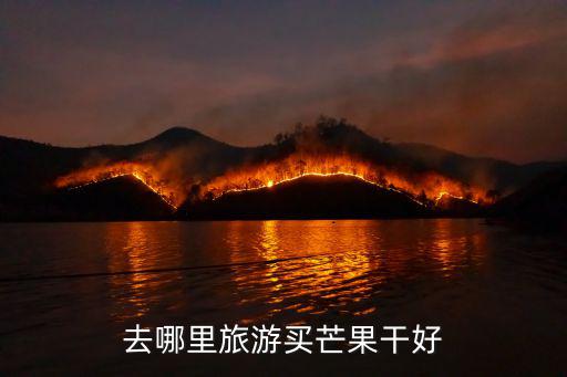 芒果在肇慶哪里好看,去哪里旅游買芒果干好