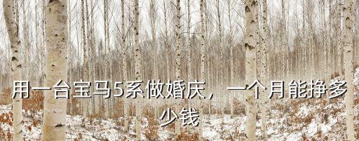 在鹽城5系跑一趟婚慶多少錢,用一臺寶馬5系做婚慶