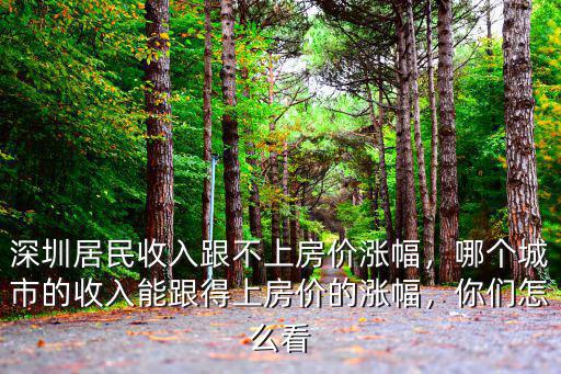 深圳居民收入跟不上房價漲幅，哪個城市的收入能跟得上房價的漲幅，你們怎么看